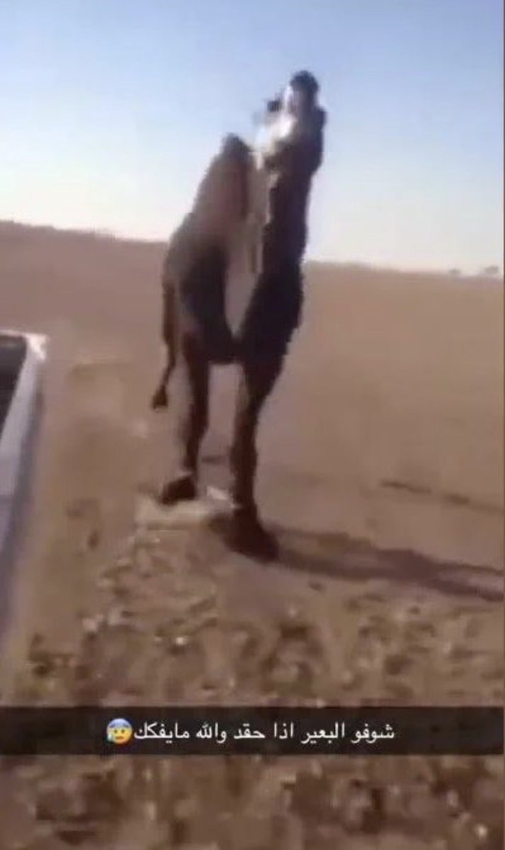 tsumo27v's tweet photo. @winterfrebirth انت مع تويتات الامارات https://t.co/Z5J1sx6Vay