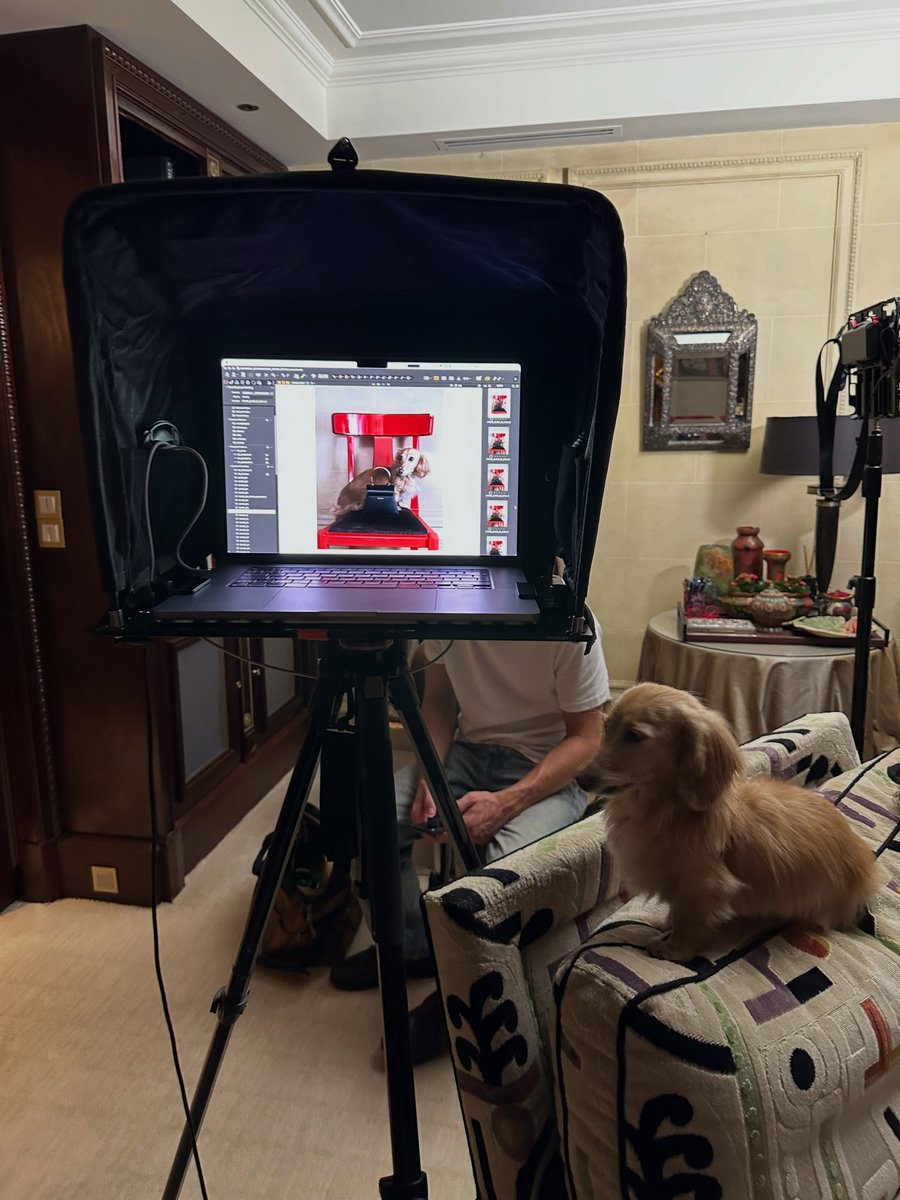 belleselca's tweet photo. Deva Cassel BTS of her Beyond Noise shoot via IG

📸: Fiona Torre
Editor-in-Chief &amp; Creative Director: Sarah M Richardson https://t.co/TlLfOlGuPs