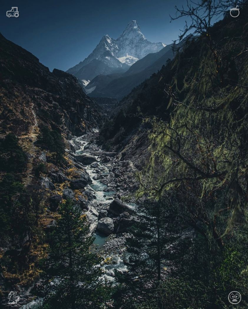 liogausmann's tweet photo. Keep pursuing your own shining dreams.  
A multifunctional portable water bottle maintains beverage freshness, is suitably lightweight, and simple to carry for the gym, hiking, commutes, and all your everyday outdoor activity plans. https://t.co/Ci22EgasnG