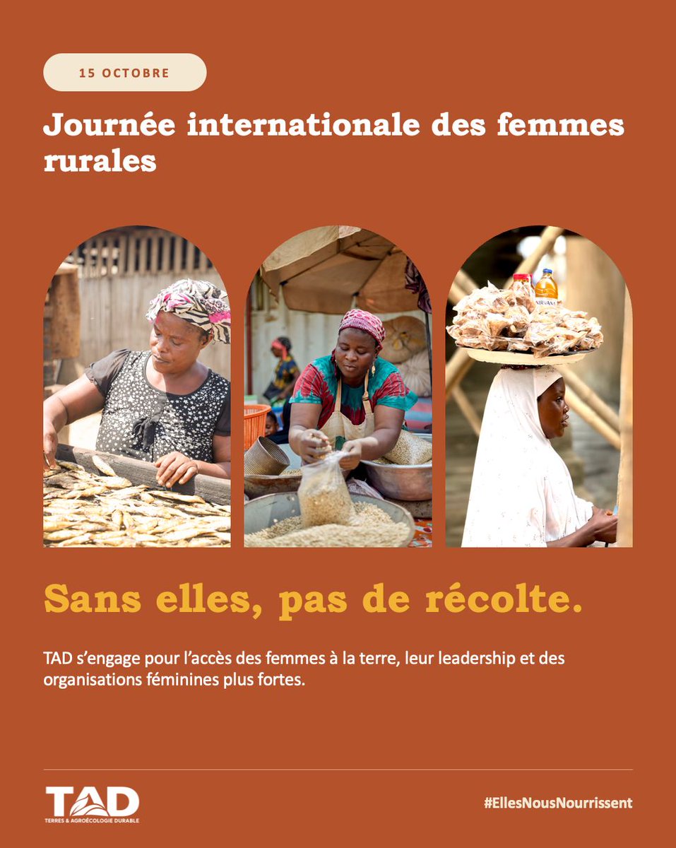 TAD_org's tweet photo. 🌍 15 octobre – Journée internationale des femmes rurales
Sans elles, pas de récolte. TAD s'engage pour leur accès à la terre, leur leadership et des organisations féminines plus fortes.

#JournéeDesFemmesRurales #RuralWomenDay #AnnéeDesAgricultrices #EllesNousNourrissent https://t.co/fTaRKFySX5