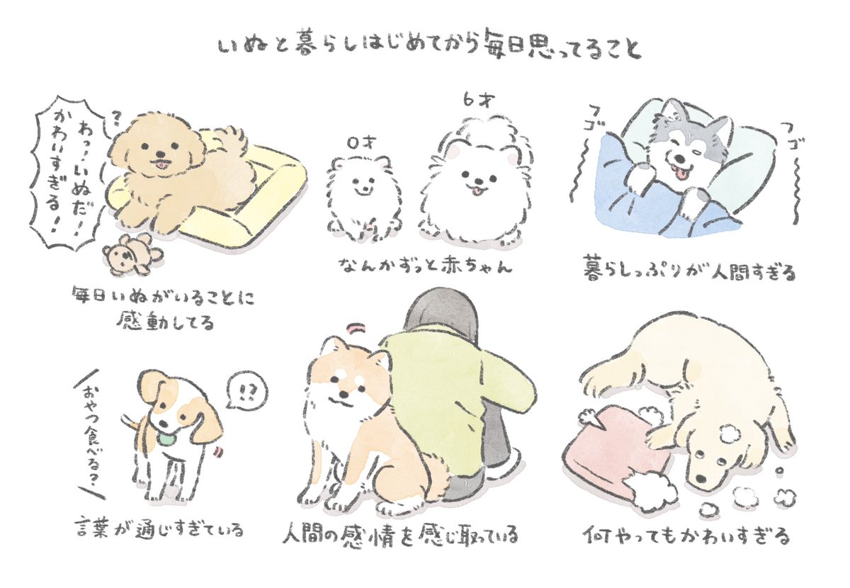 kametan_jun's tweet photo. いぬと暮らしていると、ずっと昔からいぬと人間は生活を共にしていたっていう理由がわかりますね https://t.co/H4gLewlcU9