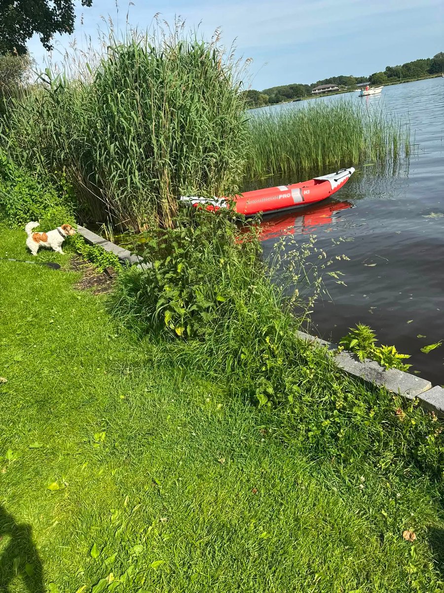 ElizebethRoxkd's tweet photo. Floating away from deadlines sounds like a solid plan today. 🛶 https://t.co/p8IIbLoOuH
