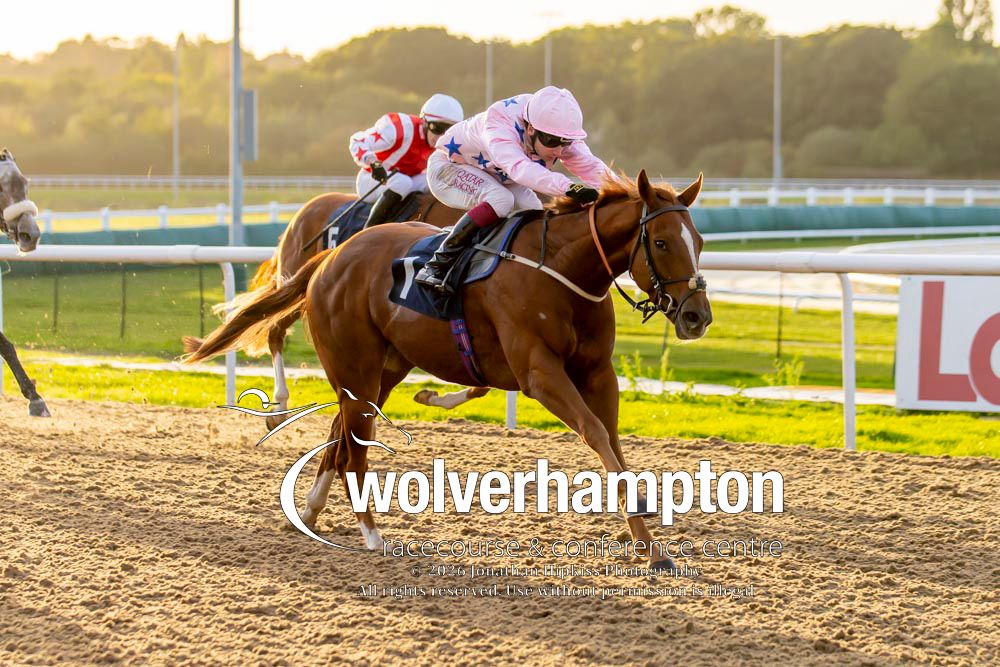 WolvesRaces tweet picture