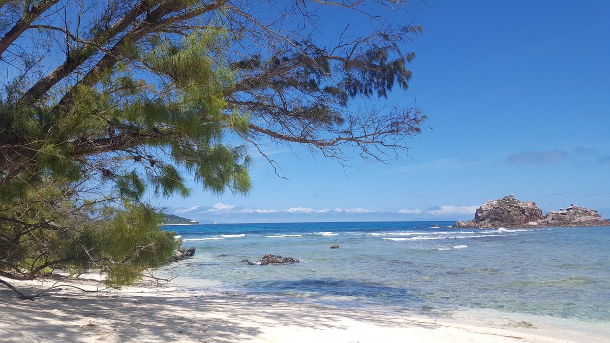 leilajade2s's tweet photo. Seychelles vibes hit different! 🌴✨ #Seychelles https://t.co/IBcdNBRilL