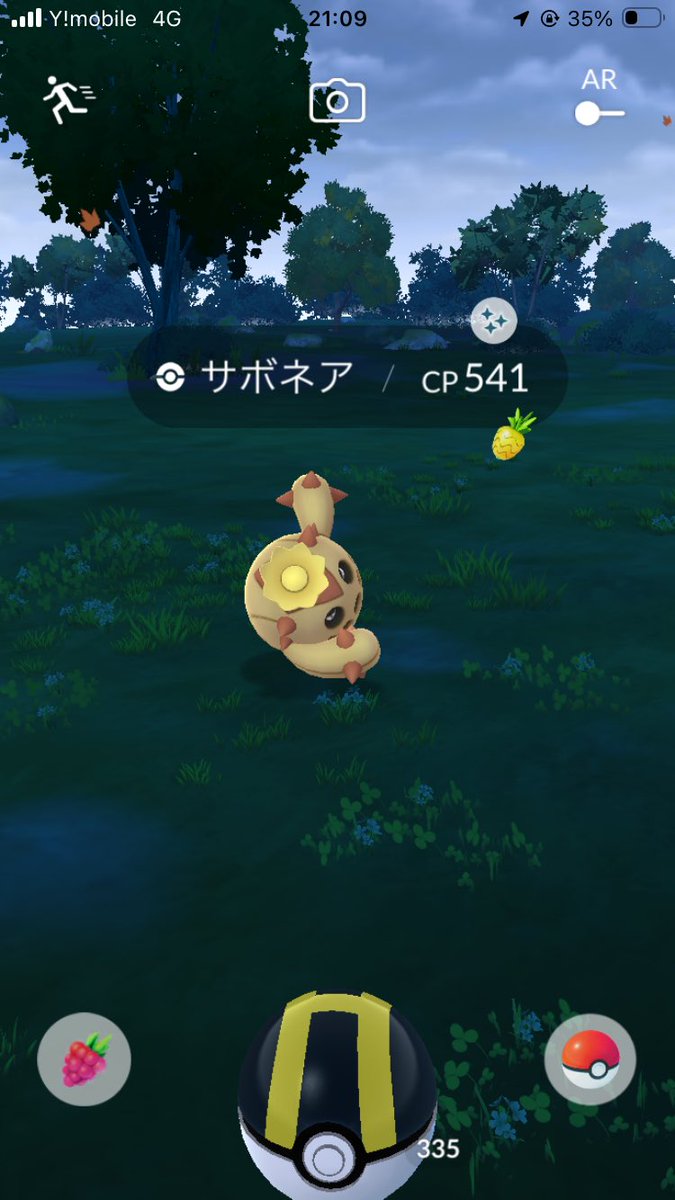 runa_shynk's tweet photo. 2連続色違い✨️
 #ポケモンGO https://t.co/FTlYu4Mfgz