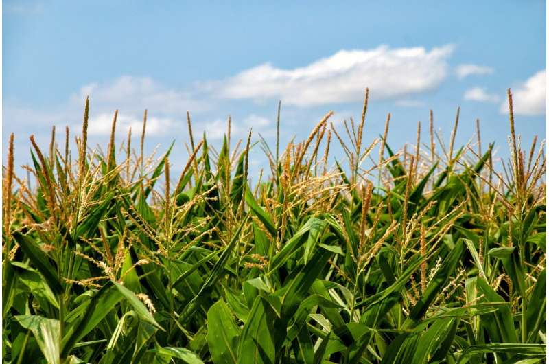 2026Adv12990's tweet photo. Specific cover crops may help attract insects that target harmful pests read more: https://t.co/1tXHRnYiEC To Know More Information About Adv. PSPB 2027 Visit Our Website: https://t.co/GhkmIHgomg #agriculture #farming #farm #farmers https://t.co/Ao7xzf2PF5