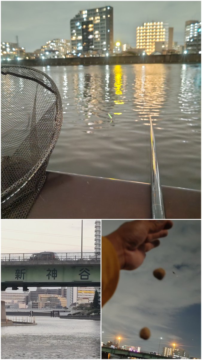 ffsimsim825's tweet photo. 赤羽ヘラブナロマンが止まらない♡
流れ流れて隅田川♡27尺 闇に舞う両ダンゴ妖しく揺く電気ウキ♡
#赤羽 #荒川 #ヘラブナ #ヘラブナ釣り #釣り #カンザシ浮子 https://t.co/U5LwHjoDJk