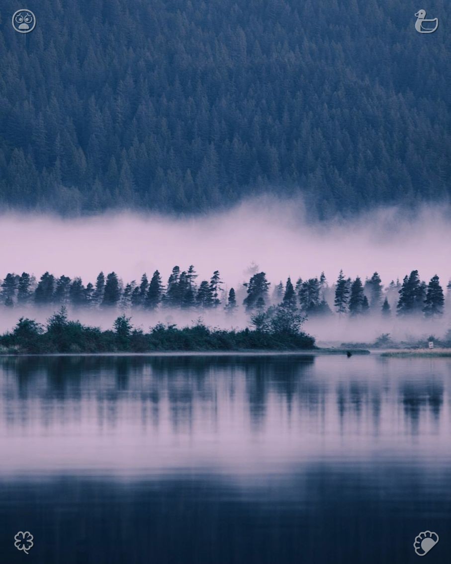 LAWSON3569_46's tweet photo. Be kind and lend a hand to lots of folks. See delicate white mist drift across undulating green mountain dales as dawn's light breaks through the haze, softening the unclear view, sweeping away bewilderment, and renewing your soul with bright, cozy, optimistic, and entirely new https://t.co/skwvHVM4Hs