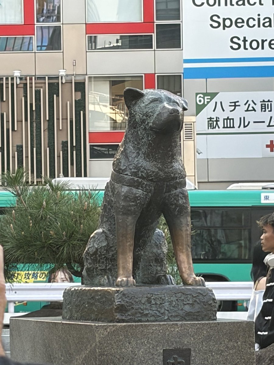 Siochan_113's tweet photo. 旅行1日目楽しかったなぁ☺️
ただ歩き過ぎて身体が痛い。 https://t.co/E5pCDgf5tt