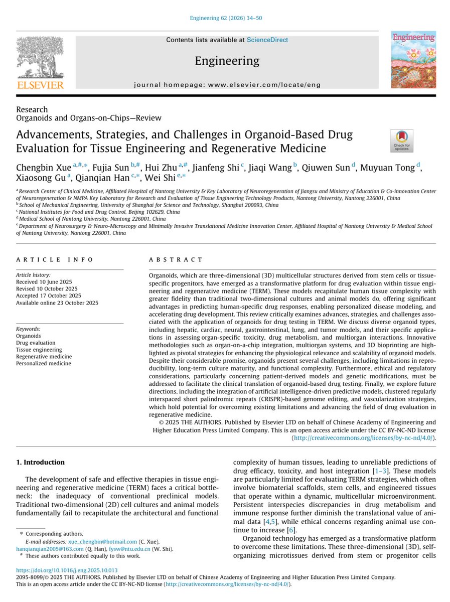SciencNews's tweet photo. This review critically examines advances, strategies, and challenges associated with the application of organoids for drug testing in tissue engineering and regenerative medicine (TERM). https://t.co/DFBTGGbZyy