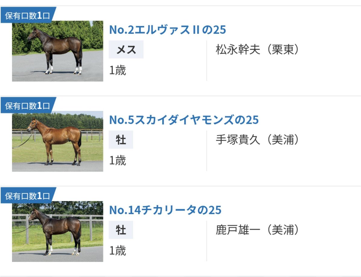 mennieso's tweet photo. インゼルはほぼ想定通り3頭出資になりました。
エルヴァスⅡの25
スカイダイヤモンズの25
チカリータの25
お仲間の方よろしくお願いします✨ https://t.co/Pso3kcFcDB