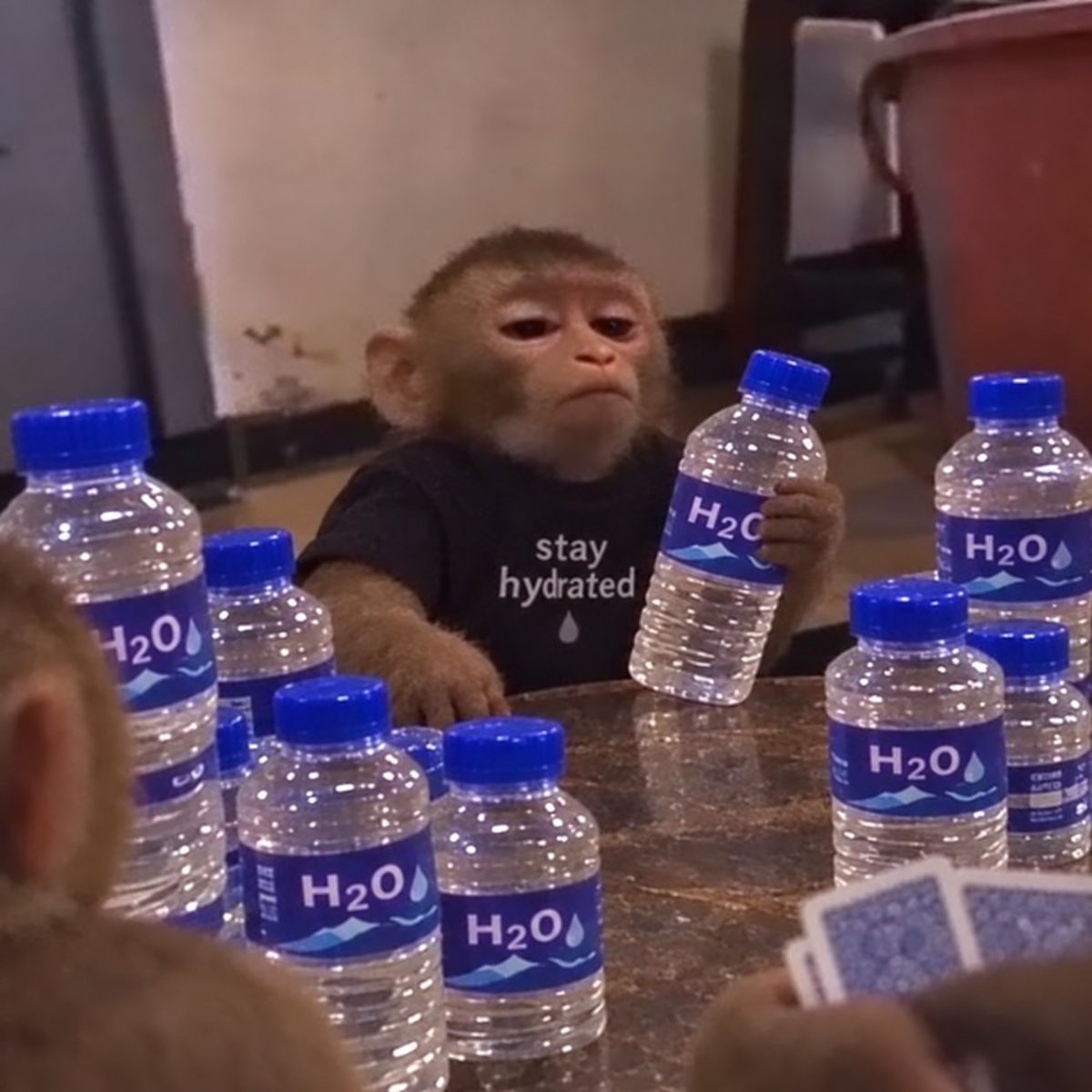 apewifH20's tweet photo. It's H2O not H2...zero

stay vigilant apes

stay hydrated https://t.co/YqmRYBPOJi