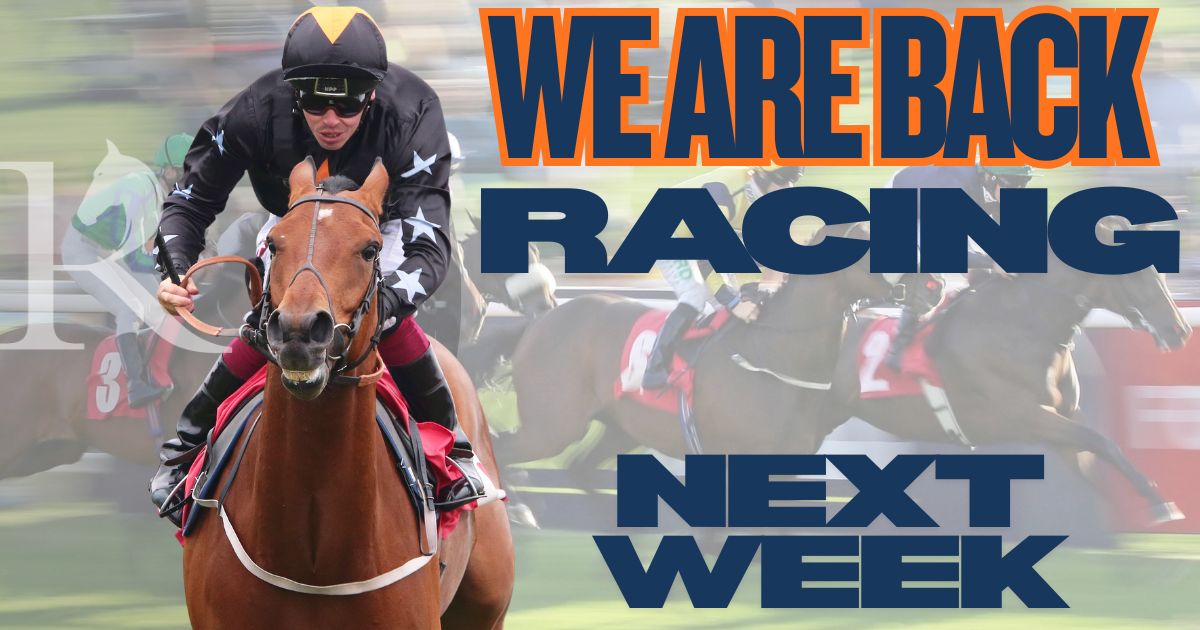 Redcarracing's tweet photo. 🏇 WE’RE BACK RACING ON MONDAY! 🏇
It's the Season Finale &amp; Half Term Family Fun Day .

It’s our LAST MEETING OF THE YEAR, so why not start your week with a treat? 🎉

🎟️ Tickets from just £7! https://t.co/LEz1ySX49W