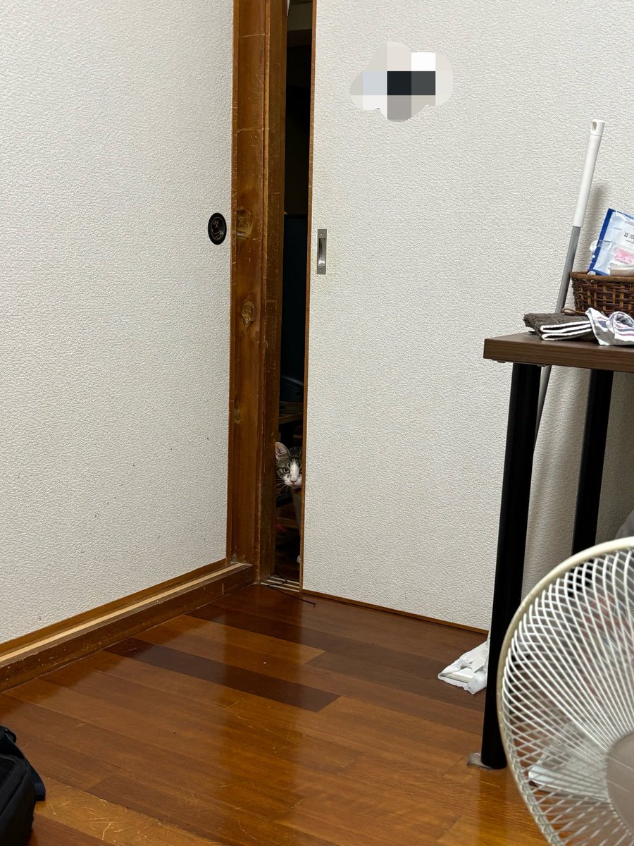 Sukefight0109's tweet photo. 心霊写真？？ https://t.co/clAmUq4vwm