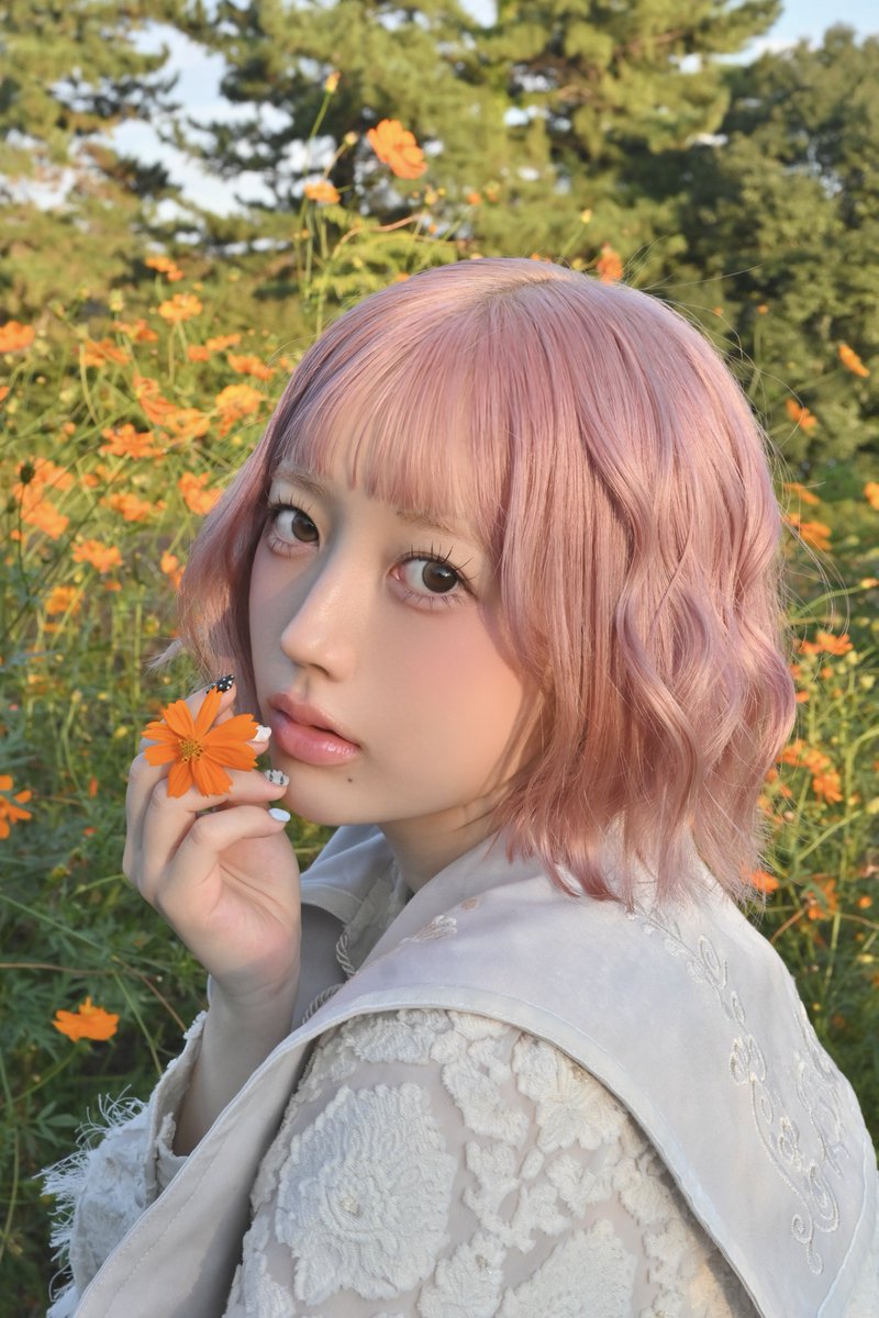 chia_ysgl's tweet photo. 秋桜💐 https://t.co/Ofo8xtFK9X