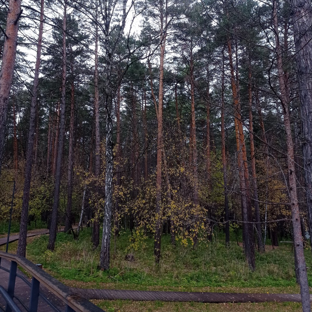 6otatochip's tweet photo. ☂️ rainy days ☂️ https://t.co/gcAGCtOmpk