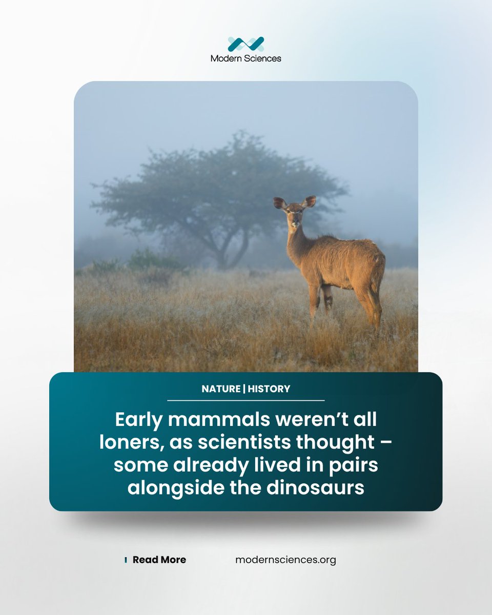 ModernSciences_'s tweet photo. About two hundred million years ago, early furry egg-laying creatures evolved specialized milk glands to feed their offspring before the first placental mammals emerged around one hundred sixty million years ago https://t.co/mkeX66Y06L https://t.co/EuqbQUP3YJ