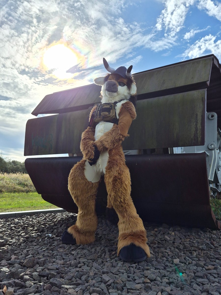 TorrosDR's tweet photo. Found a cool new location, let’s see what’s possible! :D
-Time to get into the suit!
#furry #fursuit #paddlewheel #bull https://t.co/WY1s85FDCM