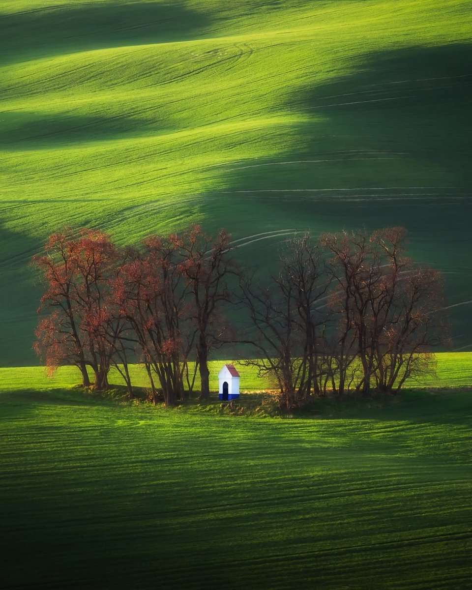 flower6260's tweet photo. Green therapy of Czech Republic https://t.co/ccKJ9DvY65