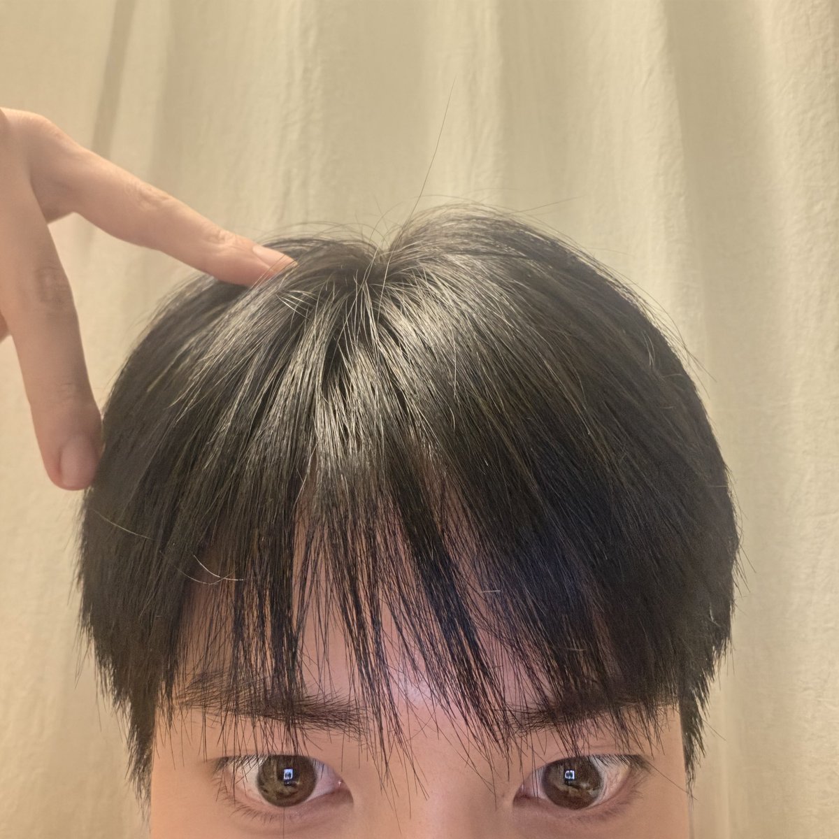 o1kmz's tweet photo. 260808 위버스DM 💌
세계 고양이의 날은 고양이들이 셀카 보내는 날🪽💕 https://t.co/AAZ4pDaRrY