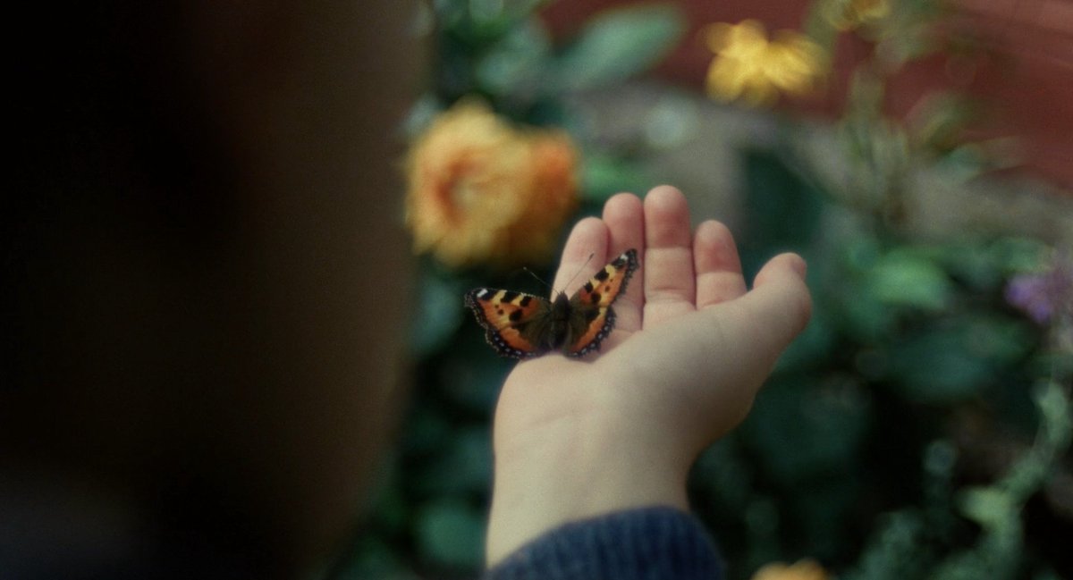 filmfr4me's tweet photo. Sentimental value - 2025
director: Joachim Trier https://t.co/k0CV5azsgW