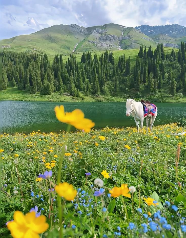 onllycutestuff's tweet photo. Xinjiang, China https://t.co/VBXXmShX2s