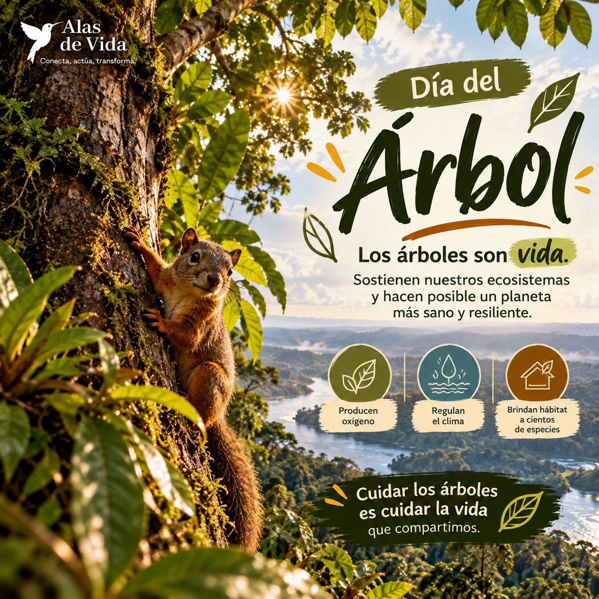 nat_morem's tweet photo. 🌳💚 Los árboles son vida: nos dan aire, refugio y equilibrio. Cuidarlos es proteger nuestro hogar y el de miles de especies. 🌎🌿
#AlasDeVida #DíaDelÁrbol #CuidadoAmbiental #Biodiversidad #ConocerParaProteger https://t.co/eMh77DShGZ