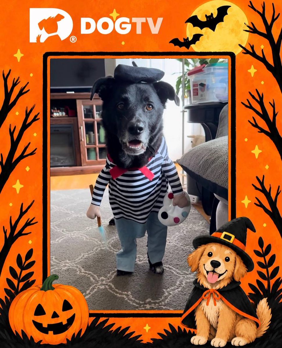 dogtv's tweet photo. We are OBSESSED with this community. 🎃🧡 Look at these incredible Howl-O-Ween photos from our DOGTV fans! Want to be featured next? Grab a DOGTV Halloween photo frame from our website, add it to your pup’s best costume shot, post it with #DOGTVHowloween and tag us — you could win 6 months of DOGTV Premium!

Make yours here: https://t.co/WvDIg7g6Qu

#DOGTVHowloween #HalloweenDog #DogCostume #DOGTV #DogsOfInstagram