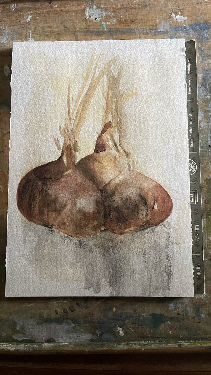 THUNTER_x's tweet photo. Brown onions 🧅 today. Santero F1 
Watercolour 
I’ll work on these a bit more though. 
#onions #watercolour #painting https://t.co/9nTVxwTEIC