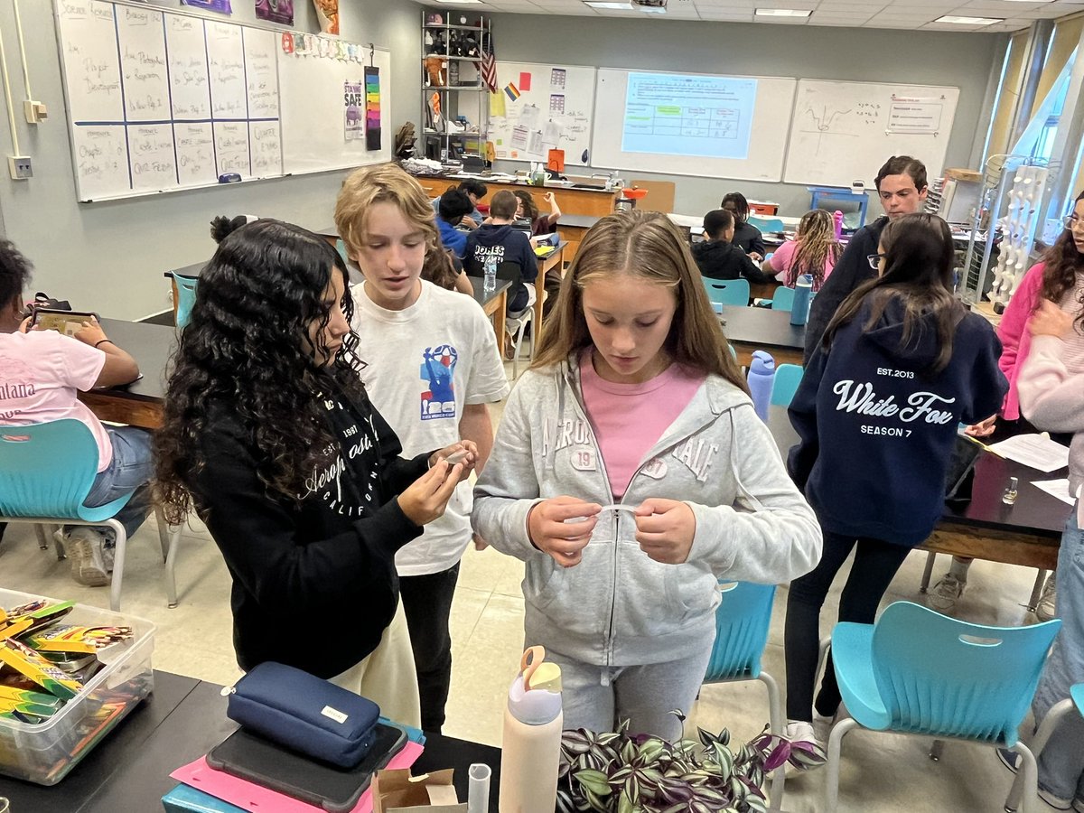 skellyscience's tweet photo. When you finish a lab early @MalverneSTEM , you go hunting for stomata in plants @HTHMiddleSchool https://t.co/vRpmuBaD7A