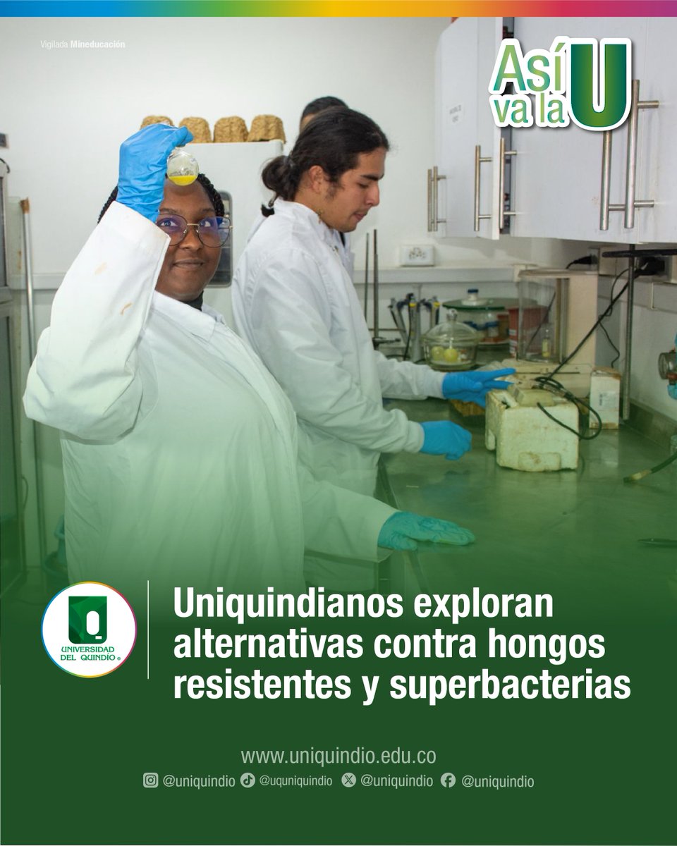 InvestigacionUQ's tweet photo. ¿Qué potencial tienen ciertos compuestos de rutenio frente a bacterias de interés clínico? 🧪

Esta pregunta orientó la investigación de Yahaira Cuenú Ibargüen, estudiante de Química de nuestra #AlmaMater, trabajo que fue reconocido con la distinción de tesis meritoria. 🧵 https://t.co/ilLXE7cX9e