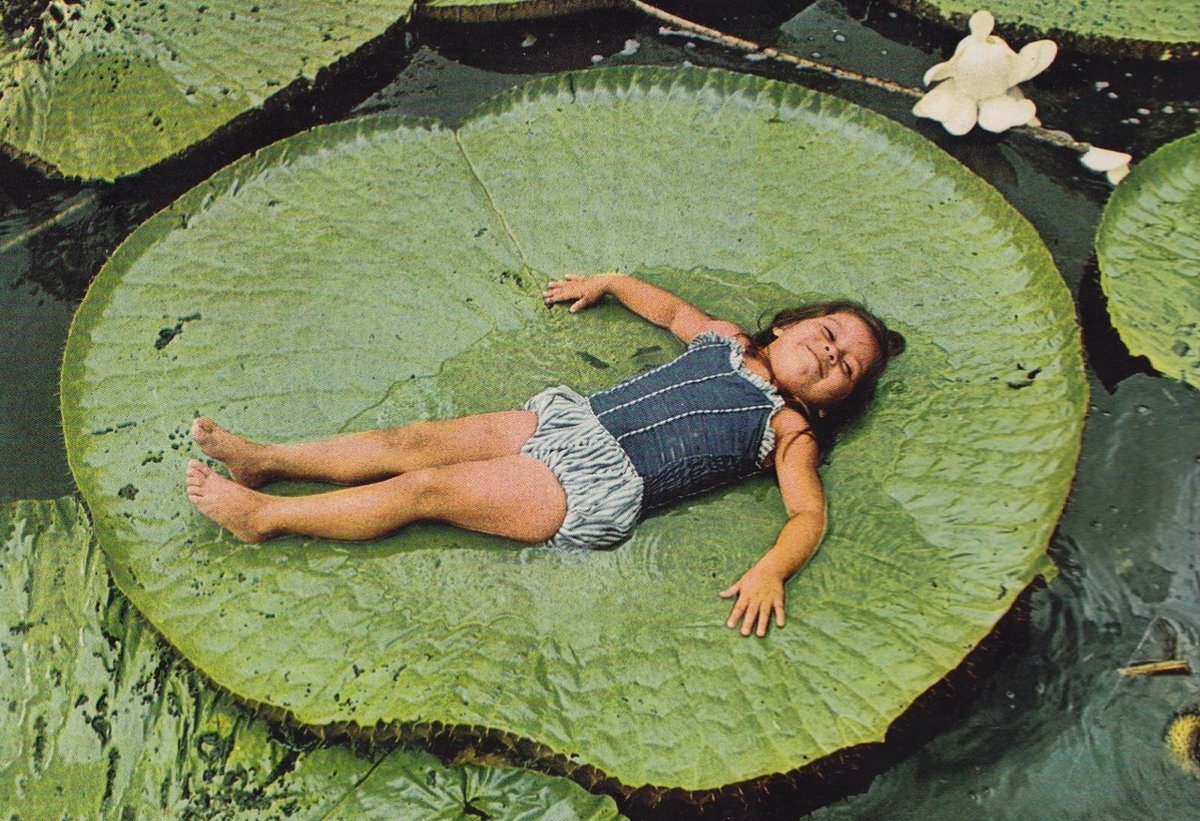 Atlantic_Sprt's tweet photo. Exploring the Amazon, National Geographic (1979) | 🇧🇷 https://t.co/o1Y2C5RmeW