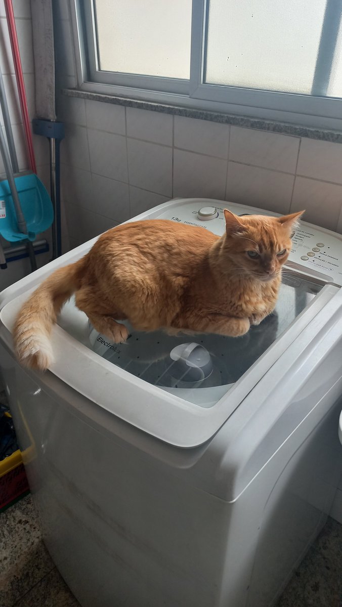 liv_revna's tweet photo. >:[ mau humor hoje, muito mau humor https://t.co/yT5cpozmRO