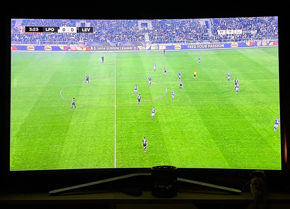 zuzu_the_human's tweet photo. Fußball schauen auf @noanook4 Nacken 🙂‍↕️ https://t.co/FYodOGmtOH