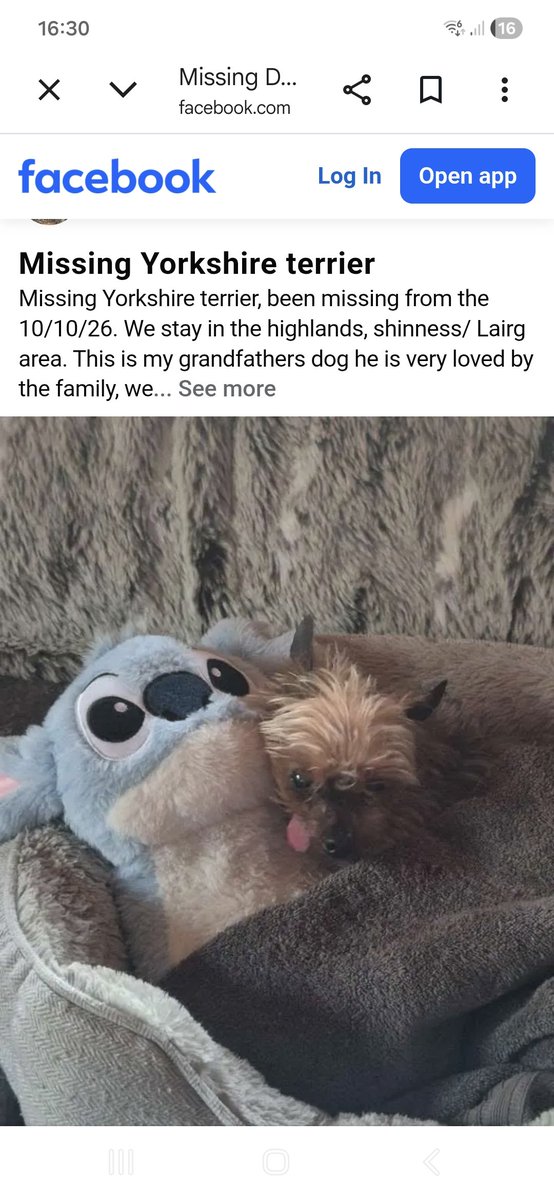 millypod1's tweet photo. 🆘10 OCT 2026 #Lost Skye #ScanMe
ELDERLY Yorkshire Terrier Male PLEASE SHARE.
Home #Lairg #IV27 #Shinness
County Lairg, Highland #Scotland
Much loved and missed little dog lost in the Shinness area outside Lairg.
https://t.co/nuWB6gLgve https://t.co/52wLeW96RX