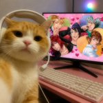 Photo by tamuwu (@nyxeth)