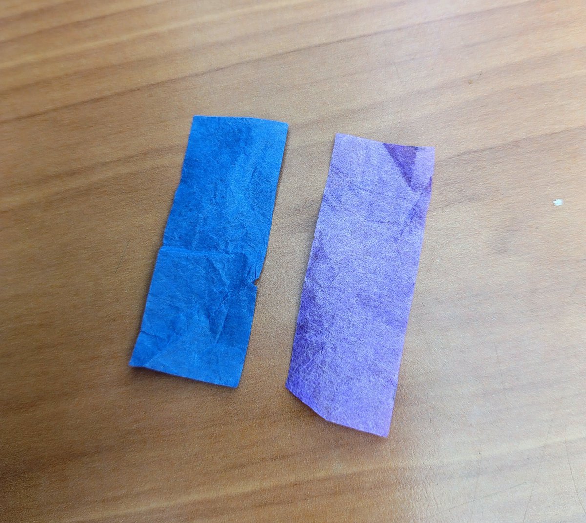 niniover7's tweet photo. se vende confeti del concierto de bts
tengo que recuperarme económicamente de esto........ https://t.co/fz7zXGEt2q