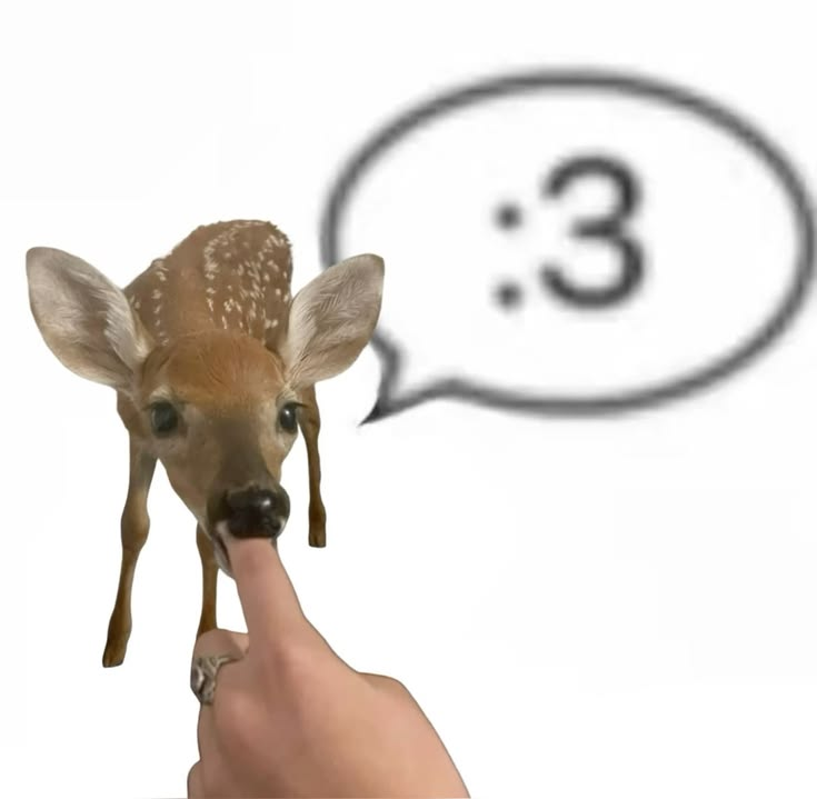 tealthedeer's tweet photo. @WazaWicked19019 https://t.co/PHexaukOhI