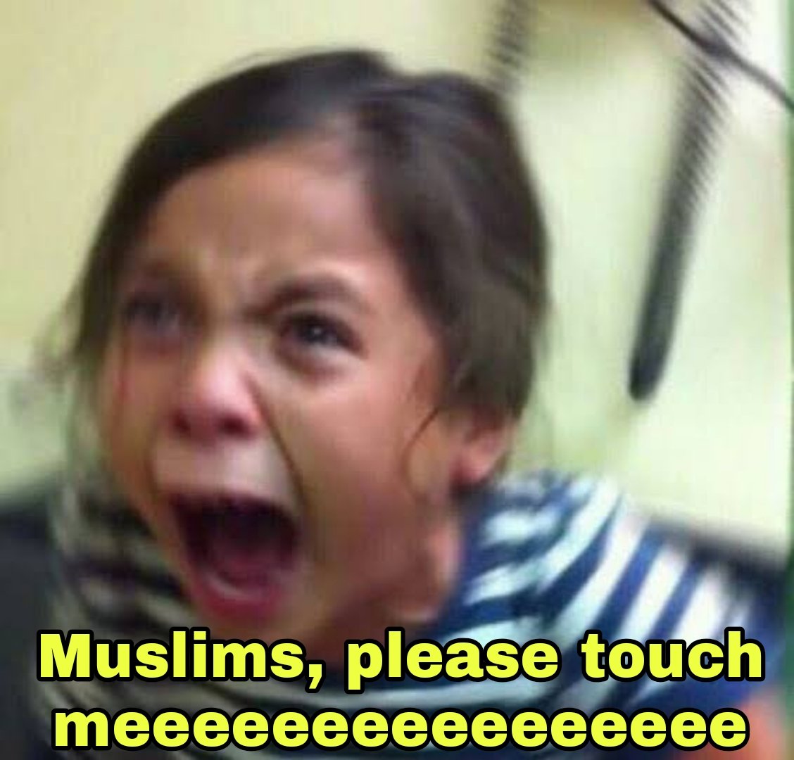Voidwalkerx_'s tweet photo. "Muslims are not touching us, they are misogynist saaarrrrrrrrrr" https://t.co/wFpq1CW1V9