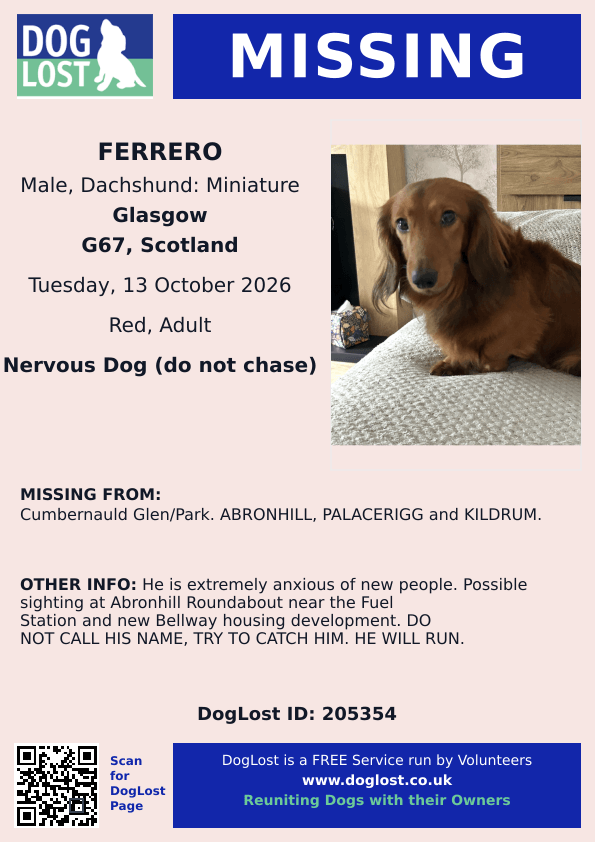 millypod1's tweet photo. 🆘13 OCT 2026 #Lost Ferrero #ScanMe
NERVOUS Dachshund: Miniature Male
#ABRONHILL #PALACERIGG and #KILDRUM #G67
County #Glasgow #NorthLanarkshire #Scotland 
Possible sighting at Abronhill Roundabout near the Fuel Station and new Bellway housing development.
https://t.co/3TFgiRpiVS https://t.co/1k4KKdernz