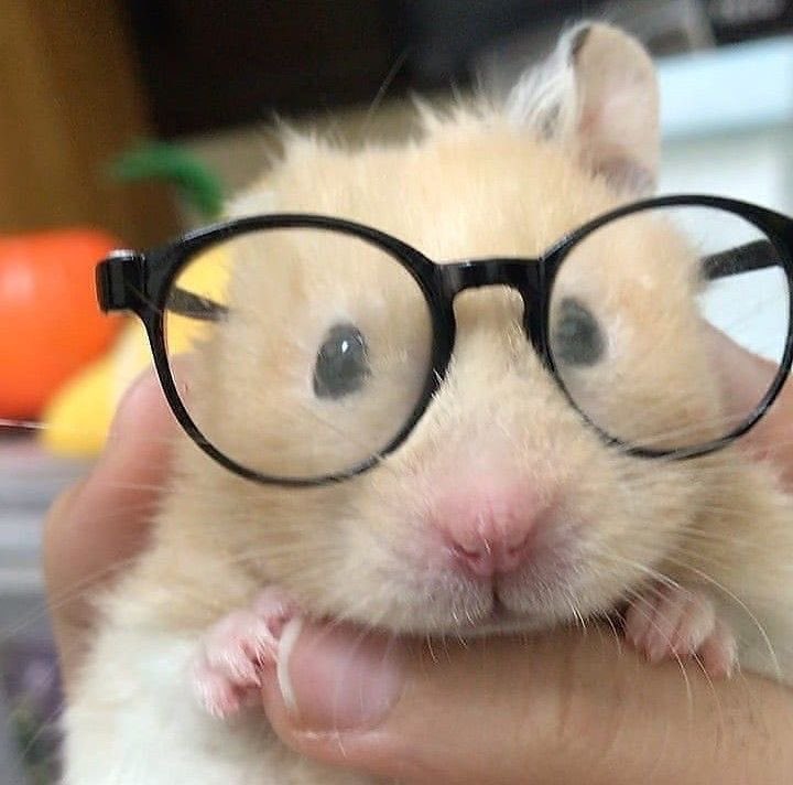 uungtak's tweet photo. the cutest nerd to ever nerd https://t.co/kOubGk5L0V