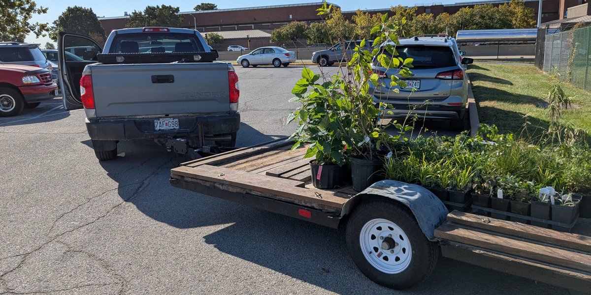 STLpubLibrary's tweet photo. Thanks Brightside St. Louis for donating 170 native plants to help beautify the grounds of Cabanne Library. https://t.co/3Xk9i1s19H