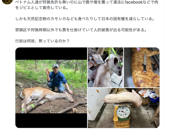 lovemimisan2's tweet photo. “違法ジビエ”フリマサイトにも？　愛知で逮捕者も　業界イメージの悪化に不安
https://t.co/unZdmW5xGK 
ベトナム人は猫も食べるし
天然記念物のカモシカも密猟して食べている
ベトナムには日本の生態系を破壊している恐ろしい民族 https://t.co/iMJV7sAFq6