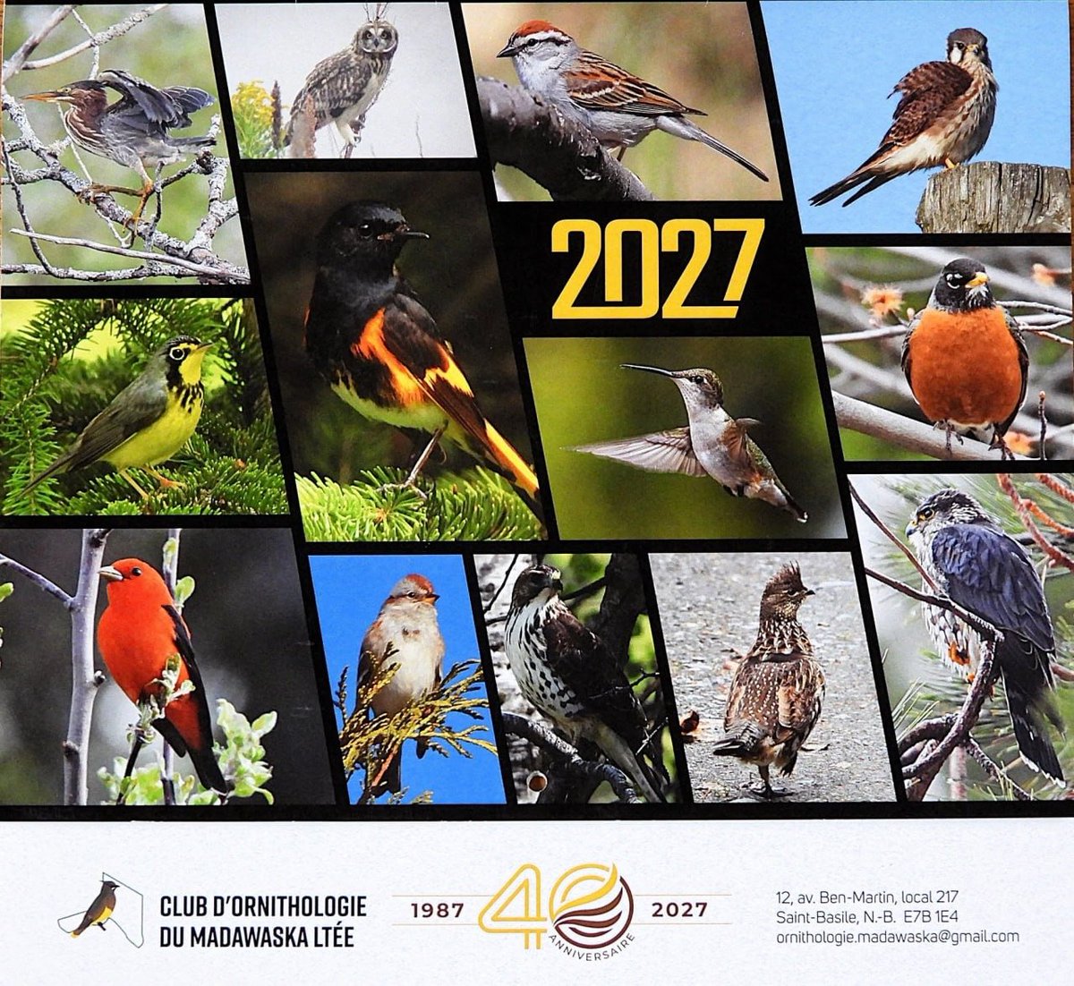 COML_COML's tweet photo. Pour les 40 ans du @COML_COML en 2027, procurez-vous ce calendrier 100 % local.
-Oiseaux et photographes d'ici
-Photos prises au #Madawaska🇨🇦
En vente (12 $) à la boutique Santé et Cetera (Carrefour Assomption) et à la Librairie Matulu (114, rue de l'Église @EdmundstonNB)
@V_N_O https://t.co/WbmDFvCHZx