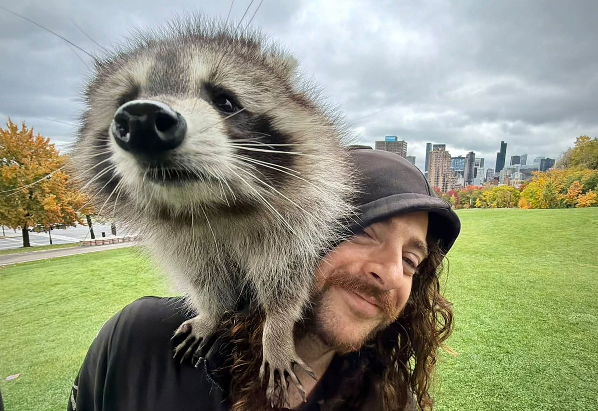 MaggotX66's tweet photo. Three interviews in a row today!! 
Cbc around 9am, Urbania at 10am and The Gazette again around Noon. 

Will go deeper on the Pepper coin topic and how the Crypto community is starting a wildlife conservation movement. 

Stay tuned and major thanks to everyone involved 🖤🙏🦝 https://t.co/el5GZRFiNP