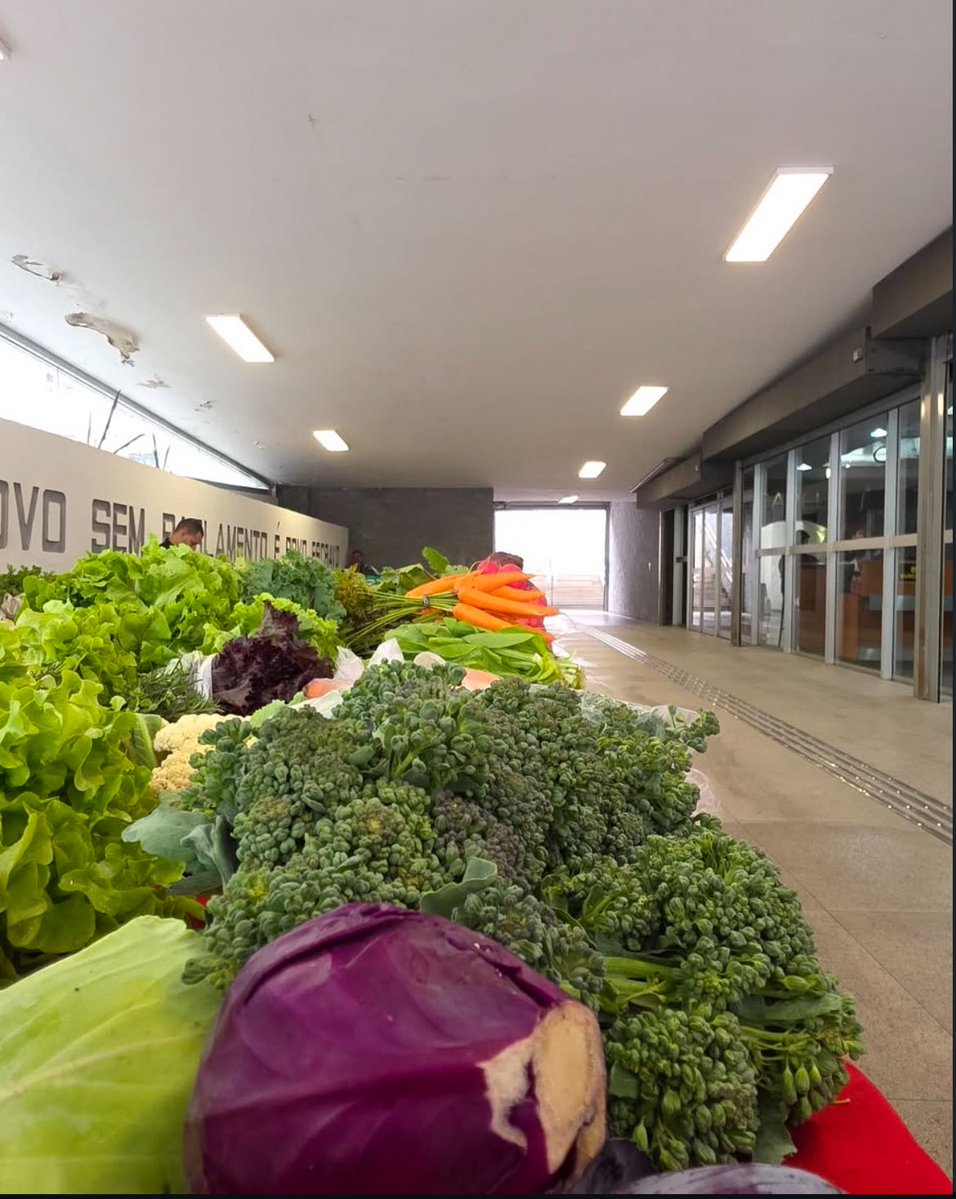 AssembleiaRS's tweet photo. 🥕 Sabia que toda quarta-feira, exceto nos feriados, acontece uma feira orgânica na entrada da Assembleia Legislativa?

O funcionamento é das 11h às 16h e todo mundo pode comprar, pois é aberta ao público.

📲 Confira essa e outras notícias nosso Instagram: @assembleiars https://t.co/XXGNyDNN68