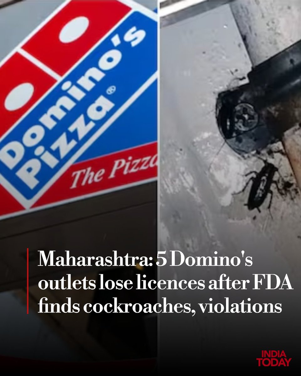 IndiaToday's tweet photo. The Maharashtra Food and Drug Administration (FDA) has suspended the food licences of five Domino's Pizza outlets in Pune and Kolhapur after inspections found serious food safety and hygiene violations, including live cockroaches and dead cockroach remains in food storage and preparation areas.

FDA officials inspected more than 50 Domino's outlets across the Pune division earlier this week and found several irregularities related to food preparation, handling and storage, as well as cleanliness and sanitation.

#MaharashtraFDA #FoodSafety #FoodHygiene | @omkarasks 

Read More: https://t.co/KU79yM8E9j