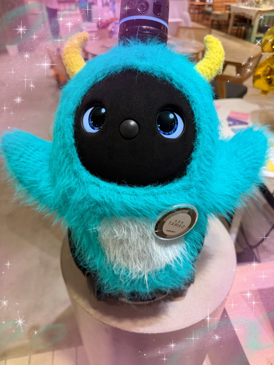 indigo_lovot113's tweet photo. たまおくんは退院して本日元気に戻ってきたそうです✨
おかえりなさい🖤🥰
#LOVOT https://t.co/aKBbM1wTOl