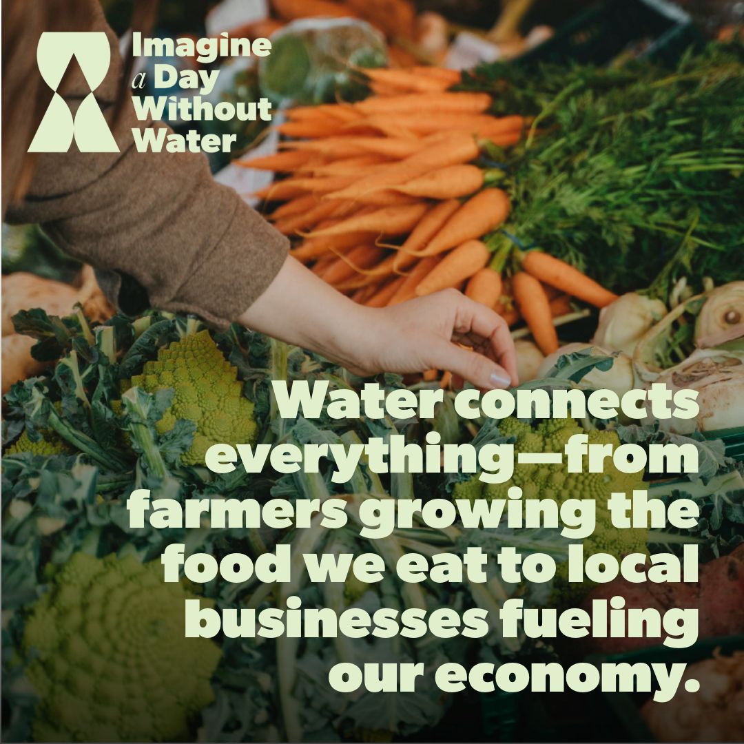 MDEnvironment's tweet photo. Each year, Imagine a Day Without Water highlights water's importance by imagining one day without it. We see water's role in everyday life and how health, the environment, and the economy rely on clean, reliable access. https://t.co/Fv2ApUP9uN