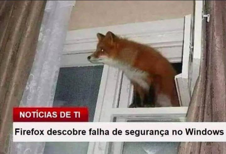 memes_horriveis's tweet photo. https://t.co/86HeAQNU2t